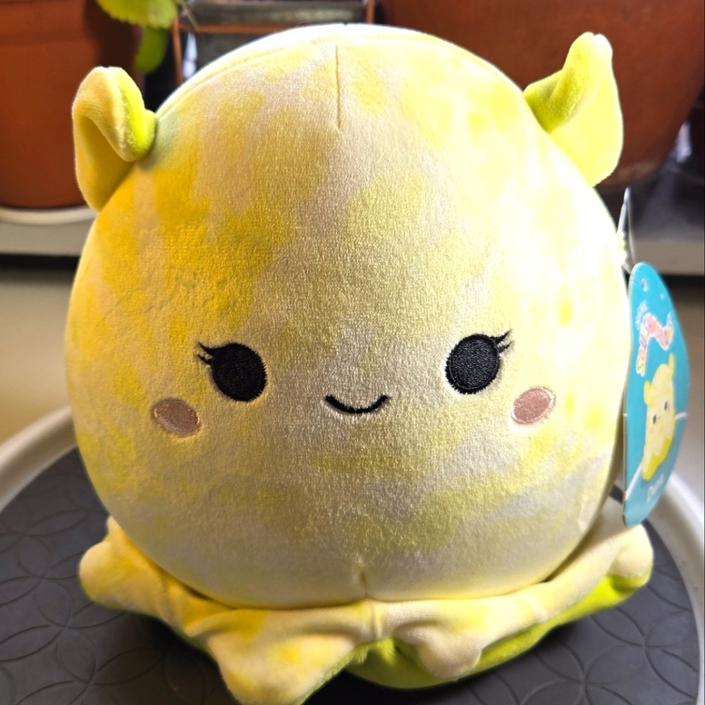Squishmallows - Duna the Dumbo Octopus Plush - S7 1621 Sea Life Squad